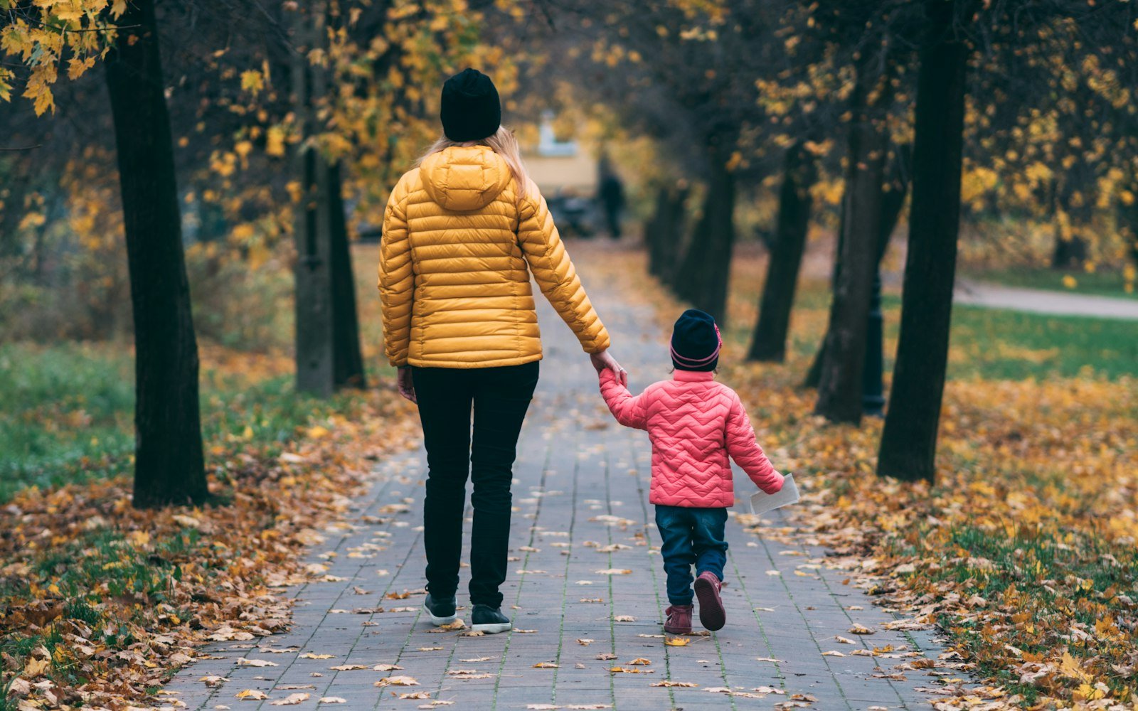 An adult and a small child walking hand in hand along a path