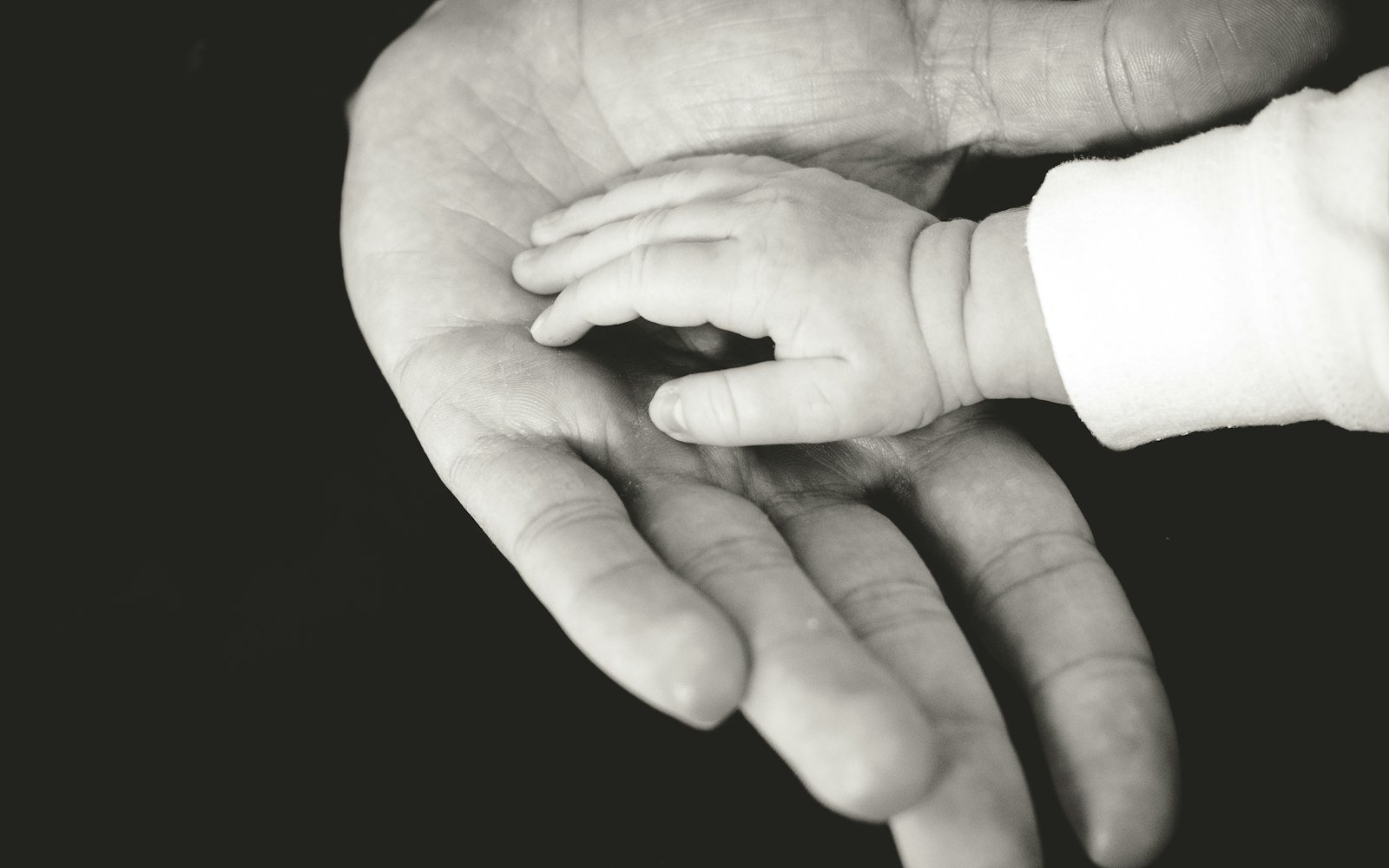 Parent holding a child's hand